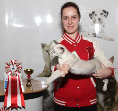 �������� ����� '������� ���-�����' 30 ������-1 ������� 2013., ������������ ��� 4172